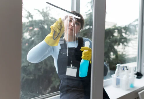 Nettoyage de vitres intérieures et extérieures à Teilhède